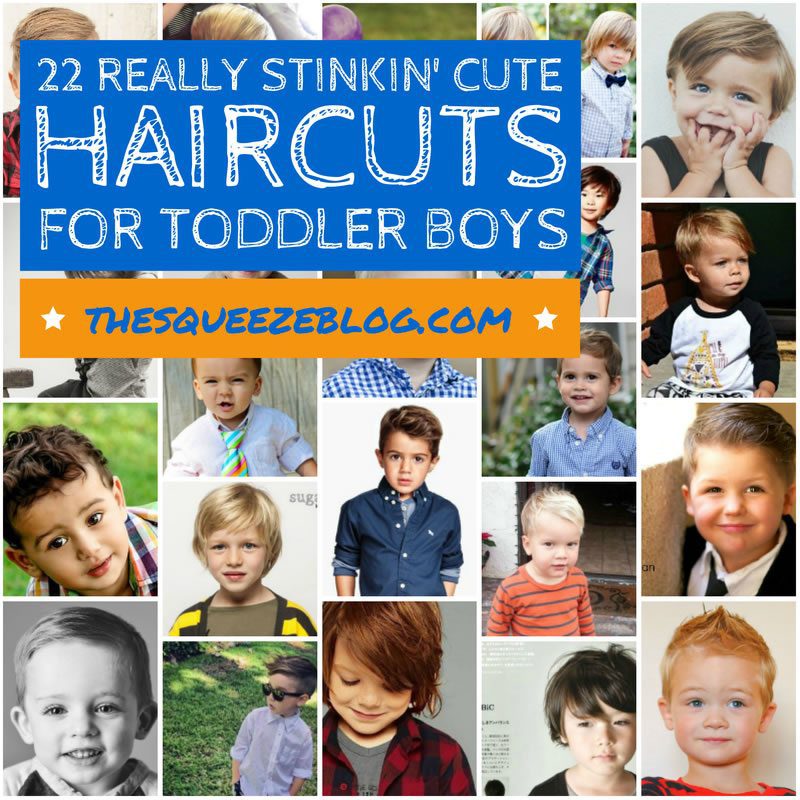 the squeeze toddler boy haircuts header